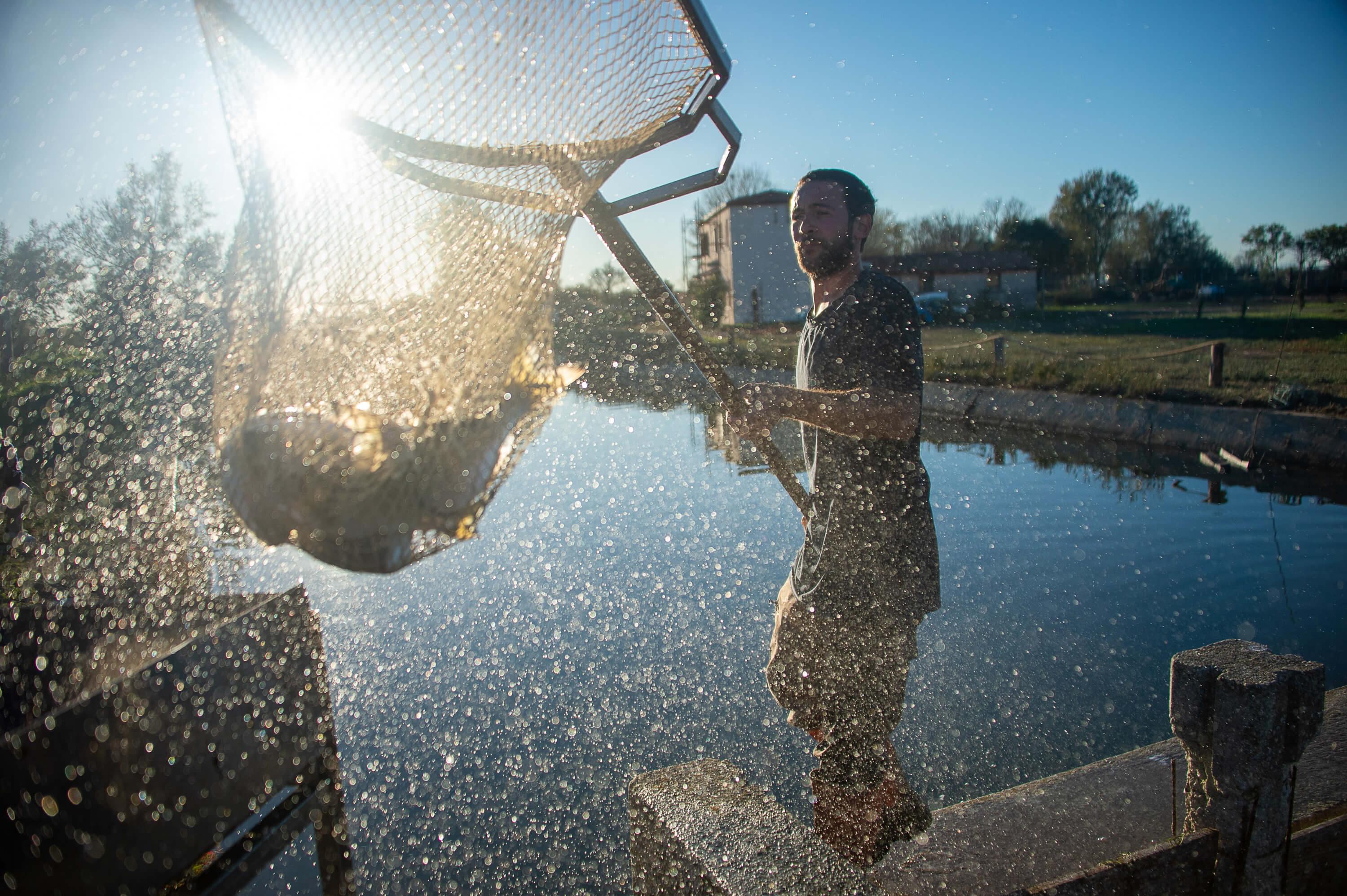 foto di pescatori che svuotano i reti pescati in laguna